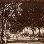 22-Viale Treviri